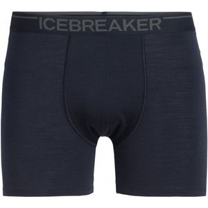 Icebreaker Anatomica Boxers Merino-ondergoed (Heren |blauw)