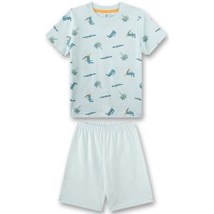 Sanetta Kids Boy Modern Mainstream Pyjama Short Ondergoed (Kinderen |grijs)