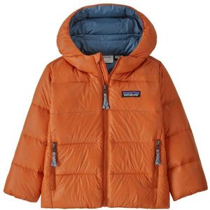 Patagonia Babys Hi-Loft Down Sweater Hoody Donsjack (Kinderen |oranje)