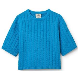 Passenger Womens Homely S/S Knitted Jumper Trui (Dames |blauw)