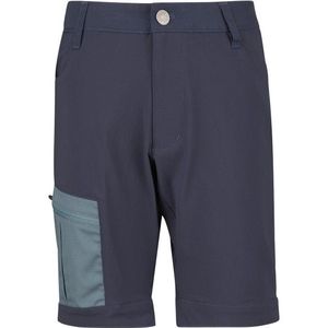 Stoic Kids FalunSt Tour Shorts Light Short (Kinderen |grijs)