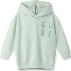 Sanetta Pure Kids Boys LT 2 Sweatshirt Hoodie (Kinderen |grijs)