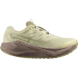 Salomon Womens Aero Blaze 3 Grvl GTX Hardloopschoenen (Dames |beige)