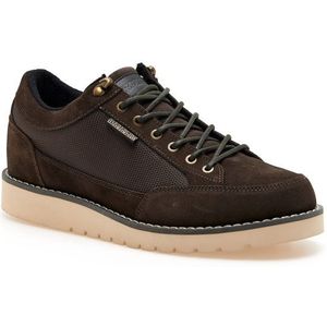 Napapijri Sneaker Conifer Sneakers (Heren |zwart)