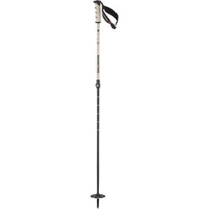 Salomon Steep Vario S3 Skistokken (rainy day)