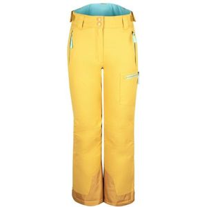 Trollkids Kids Hallingdal Pant Skibroek (Kinderen |geel |waterdicht)