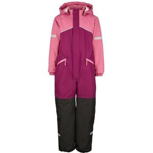 Heber Peak Kids PinusHe Snow Overall Overall (Kinderen |purper |waterdicht)