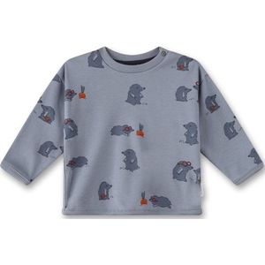 Sanetta Baby Boys Sweatshirt Pure Interlock Trui (Kinderen |grijs)