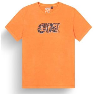 Picture Basement Leo Tee T-shirt (Heren |oranje)
