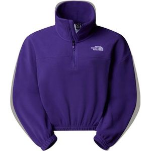 The North Face Womens 100 Glacier Half Zip Fleece Fleecetrui (Dames |purper)