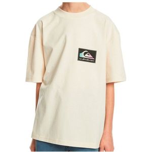 Quiksilver Kids Back Flash S/S T-shirt (Kinderen |wit/beige)