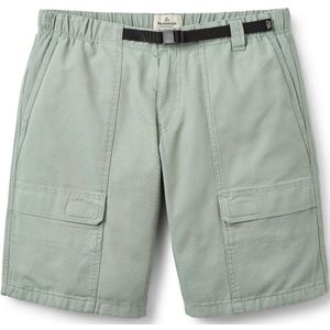 Passenger Apex Cargo Short Short (Heren |grijs)