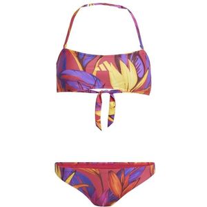 adidas Womens Farm Bikini Bikini (Dames |meerkleurig)