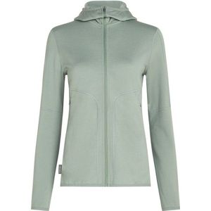 Icebreaker Womens 560 RealFleece Elemental II L/S Zip Hoodie Merinohoodie (Dames |grijs)