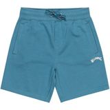 Billabong - Arch Glacier Blue - Short - Blauw - Katoen - Taille Élastique