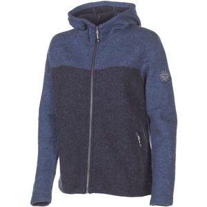Ivanhoe of Sweden Womens Hilma Hood Wollen vest (Dames |grijs/blauw)
