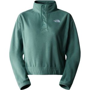 The North Face Womens Homesafe Snap Neck Fleece Pullover Fleecetrui (Dames |turkoois)