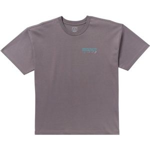 Billabong - Grow OG Adiv SS Tee - T-shirt - Grijs