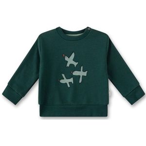 Sanetta Baby Boys Sweatshirt Pure LT 1 Trui (Kinderen |groen)