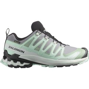 Salomon Womens XA Pro 3D V9 GTX Multisportschoenen (Dames |grijs |waterdicht)