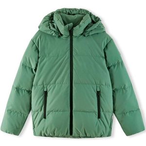 Reima Kids Down Jacket Paimio Donsjack (Kinderen |groen |waterdicht)