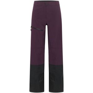 Jack Wolfskin Alpspitze Tour 3L Pants Regenbroek (Heren |purper |waterdicht)