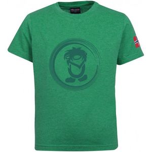 Trollkids Kids Trollfjord Tee T-shirt (Kinderen |groen)