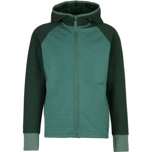 Stoic Kids MerinoFleece260 FlenSt Jacket with Hood Merinovest (Kinderen |groen/turkoois)