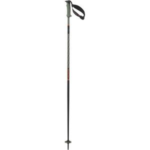 Salomon Polar Pro S3 Skistokken (groen)
