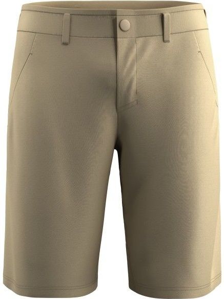 Salewa Heren Fanes Light Short