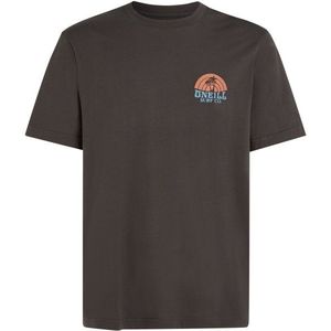 ONeill ONeill Beach Graphic T-Shirt T-shirt (Heren |grijs)