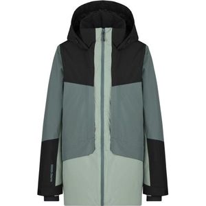 Heber Peak Womens PinusHe II Ski Jacket Ski-jas (Dames |meerkleurig |waterdicht)