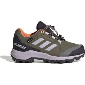 adidas Terrex Kids Terrex GTX Multisportschoenen (Kinderen |grijs |waterdicht)