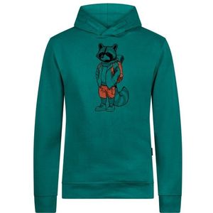 GreenBomb Animal Raccoon Hike Star Hoodie Cotton Hoodie (Heren |turkoois)