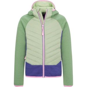 Trollkids Girls Sirdal Jacket Fleecevest (Kinderen |groen)