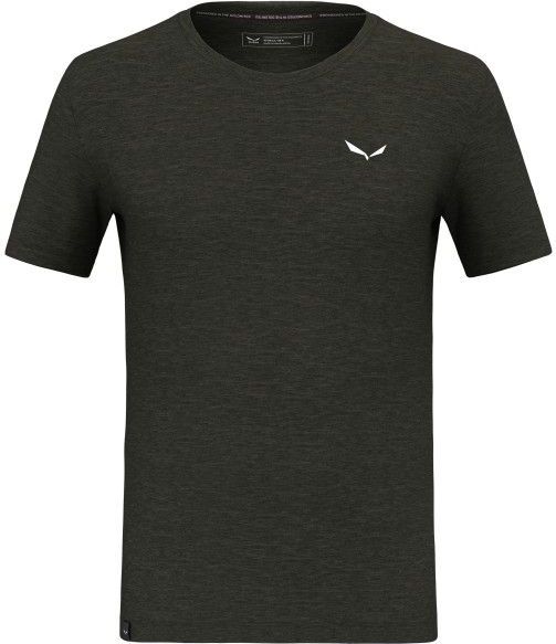 Salewa - Eagle Minilogo TShirt - Groen - Merino - Wandelen