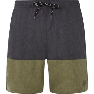 Protest PRTFreddie Boardshort (Heren |grijs)