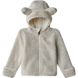 The North Face Babys Campshire Full Zip Hoodie Fleecevest (Kinderen |grijs)