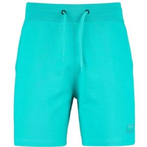 Picture Augusto Shorts Short (Heren |turkoois)