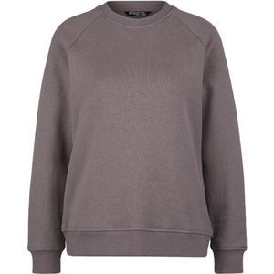 Stoic Womens MMXX Kumla Crew Neck Trui (Dames |grijs)