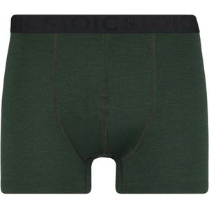 Stoic Merino150 AlsenSt Boxer Merino-ondergoed (Heren |groen)