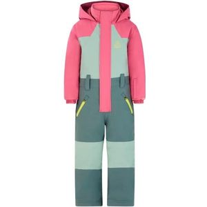 Protest Kids Prtsoul TD Snowsuit Overall (Kinderen |meerkleurig |waterdicht)