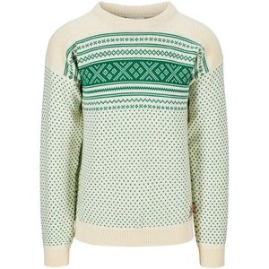 Dale of Norway Valloy Masculine Sweater Wollen trui (Heren |meerkleurig)