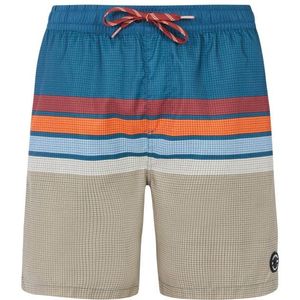 Protest PRTAvik Boardshort (Heren |meerkleurig)