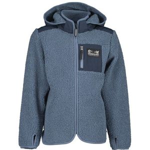 Didriksons Kids Exa Full Zip Fleecevest (Kinderen |blauw)