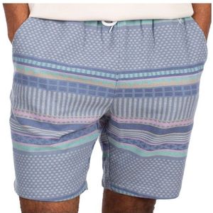 Iriedaily Vintachi Short Short (Heren |grijs)