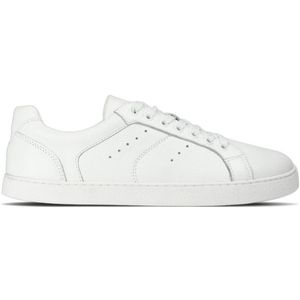 Groundies - Universe Regular - Damestrainers