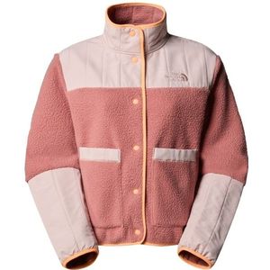 The North Face Womens Cragmont Fleece Jacket Fleecevest (Dames |roze)