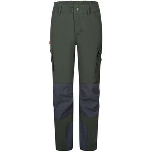 Trollkids Kids Hammerdalen Pant Trekkingbroek (Kinderen |grijs)