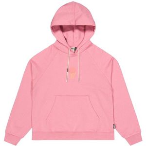 Picture Womens Quenar Hoodie Hoodie (Dames |roze)